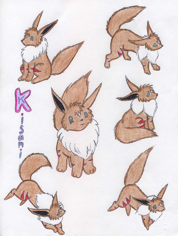 135_thumbnail_image