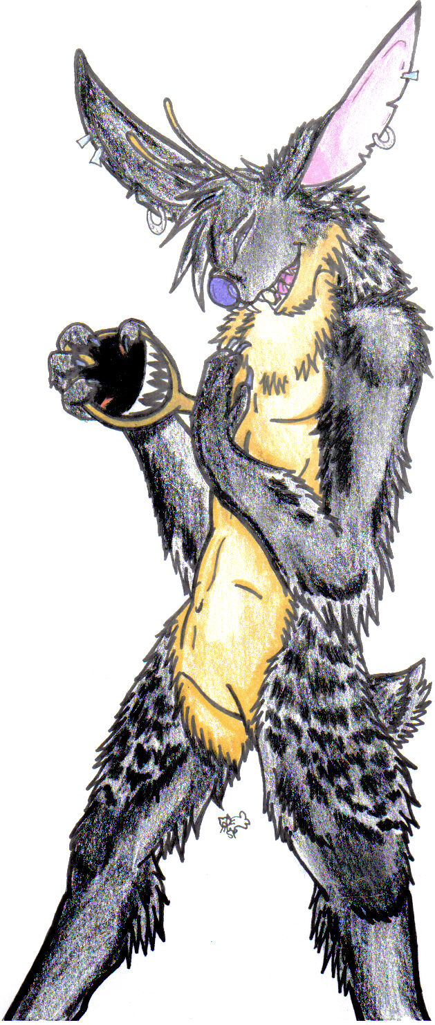 246_thumbnail_image