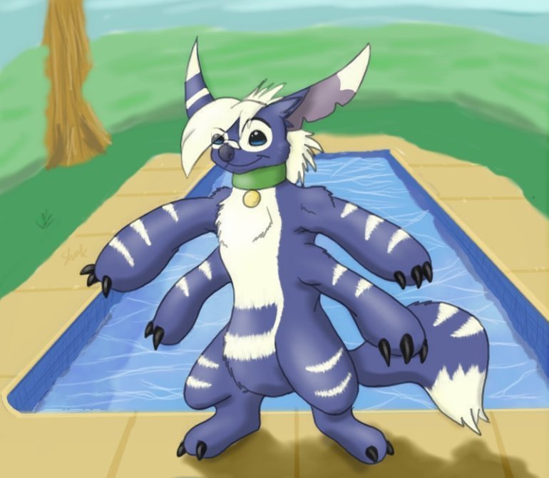 335_thumbnail_image