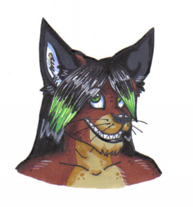 356_thumbnail_image