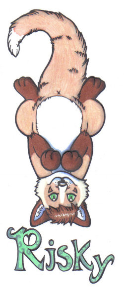 501_thumbnail_image