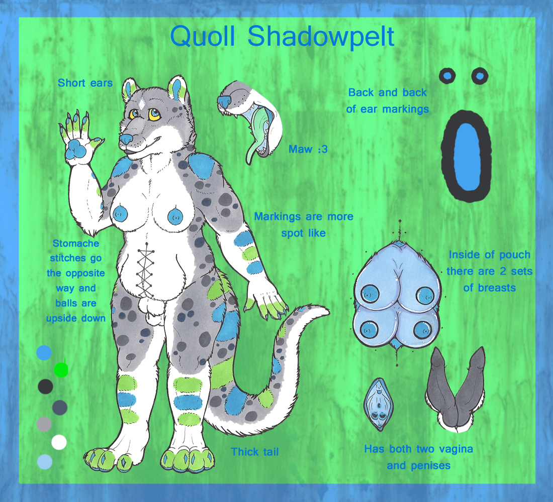 503_thumbnail_image