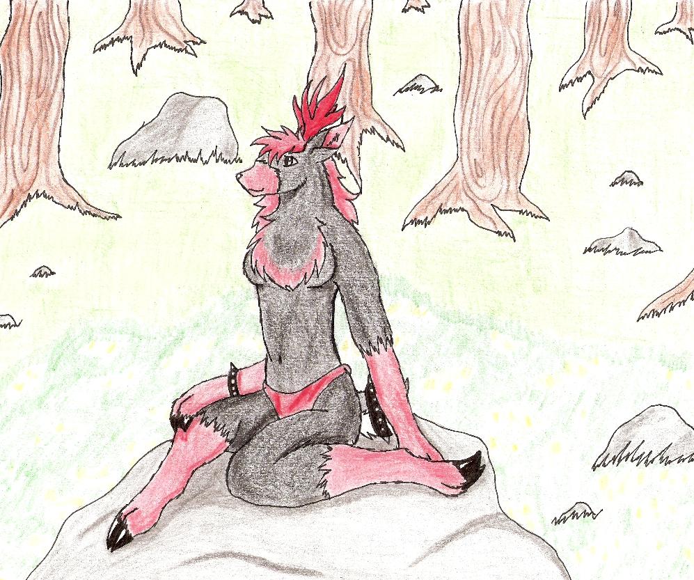 81_thumbnail_image