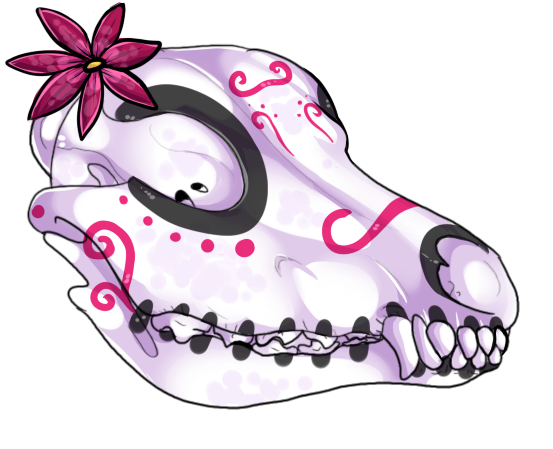 816_thumbnail_image